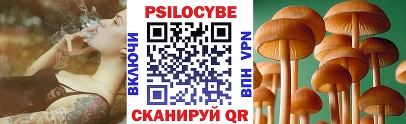 Галлюциногенные грибы Cubensis  купить наркотики сайты  Торопец 